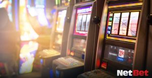 7yxxx|Bingo Online – Jogue Sem Risco no Cassino Confiável