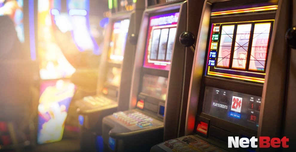 7yxxx|Bingo Online – Descubra Agora no Cassino Certificado